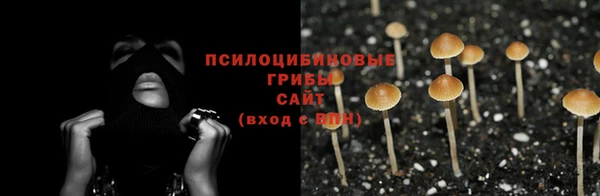мяу мяу мука Абдулино