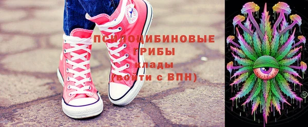 тгк Абаза