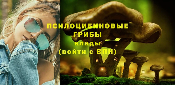 мяу мяу мука Абдулино