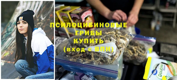 тгк Абаза