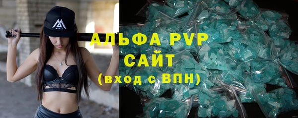 стаф Магас