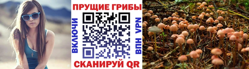 Галлюциногенные грибы GOLDEN TEACHER  как найти закладки  Азов 